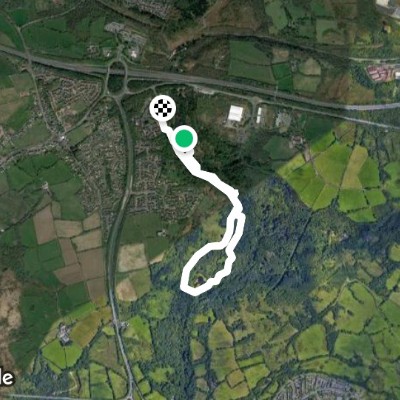 Penllergaer Woodland Trust