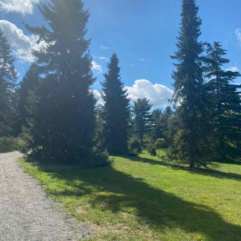 The Frelinghuysen Arboretum