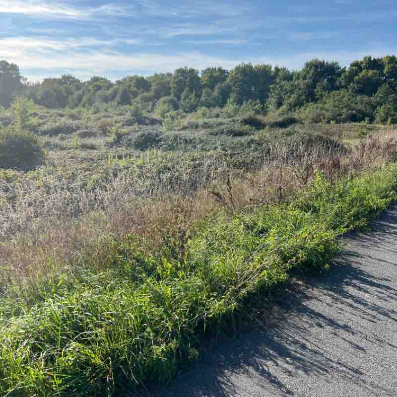 Buttes des fusillés