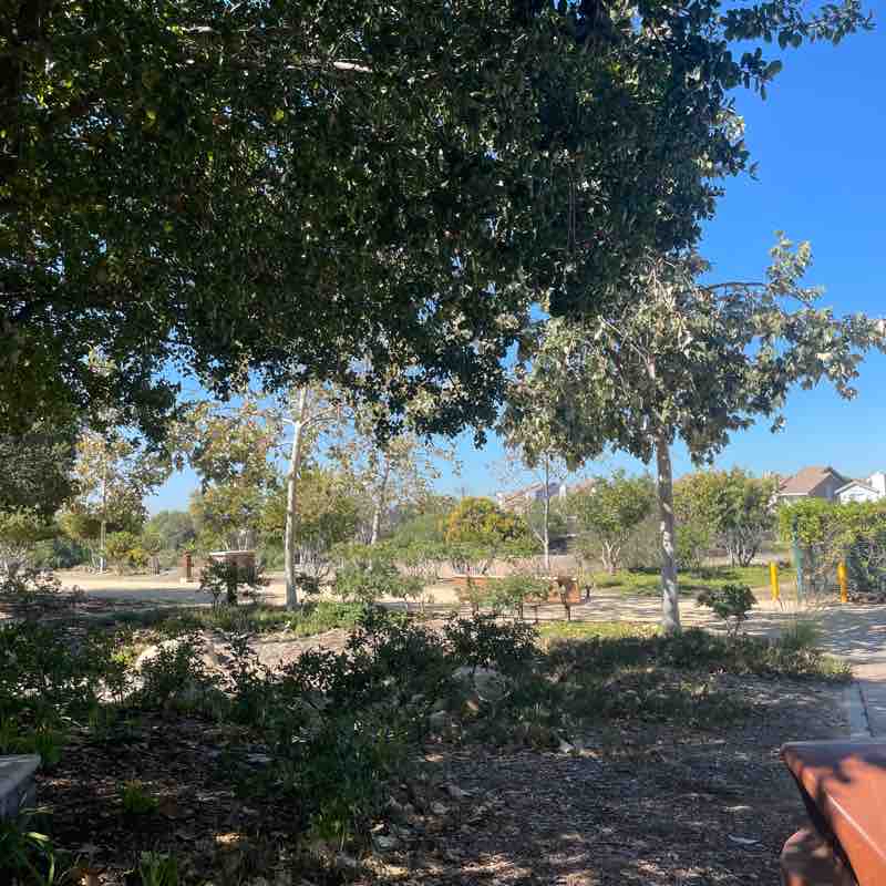 Grijalva Bike Trail to Hart Park