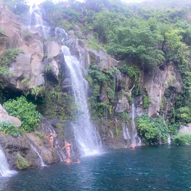 Bassin des aigrettes   Reunion Island