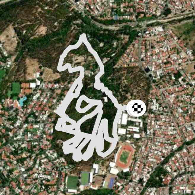 Colomos 30 de Enero 2023