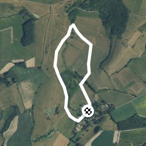 Brace of Pheasants 1.75 mile circular