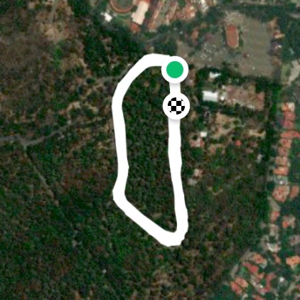 Bosque de Tlalpan Pista