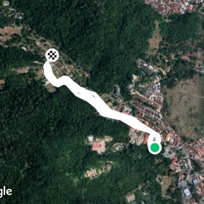 Jalan Kebun Bunga早上跑步,空气清新涼爽