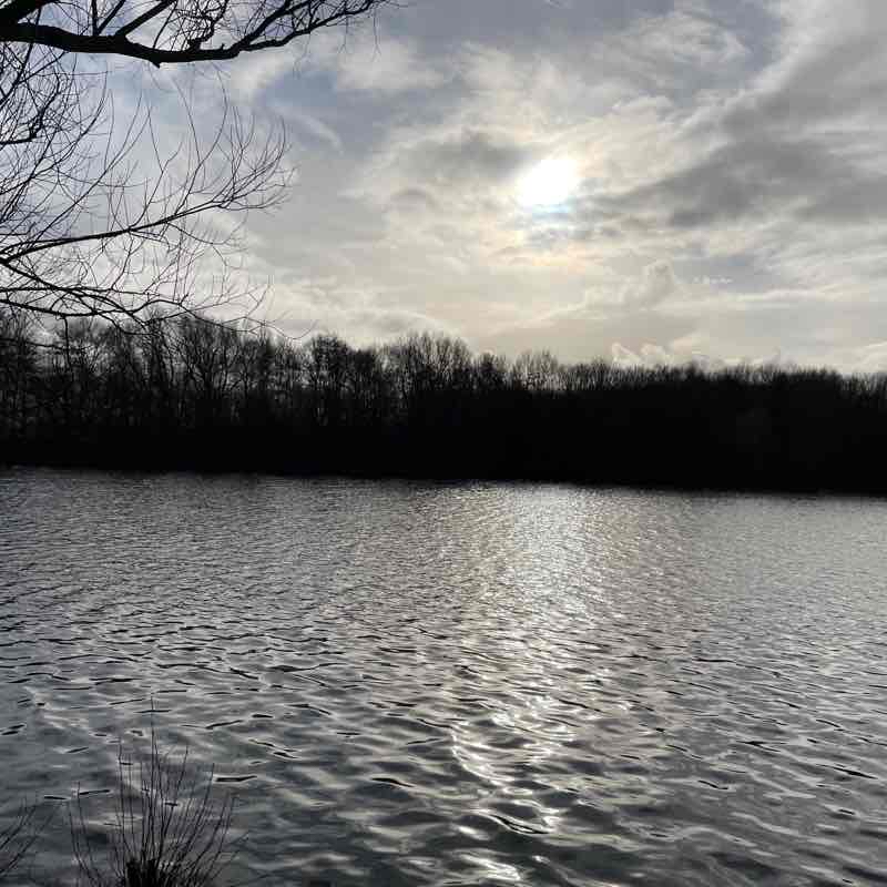 Parc du héron Ecole calmette Villeneuve d ascq