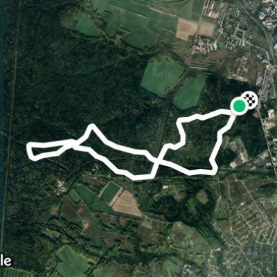 Динамо 10 км