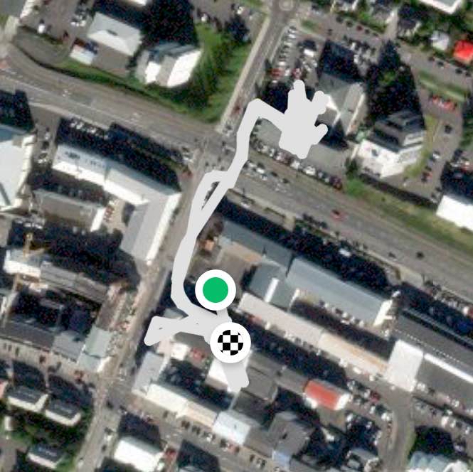 Walk to Netto and back