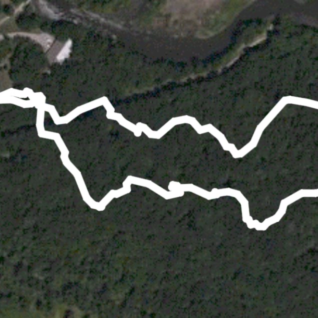 Big Tree Trail