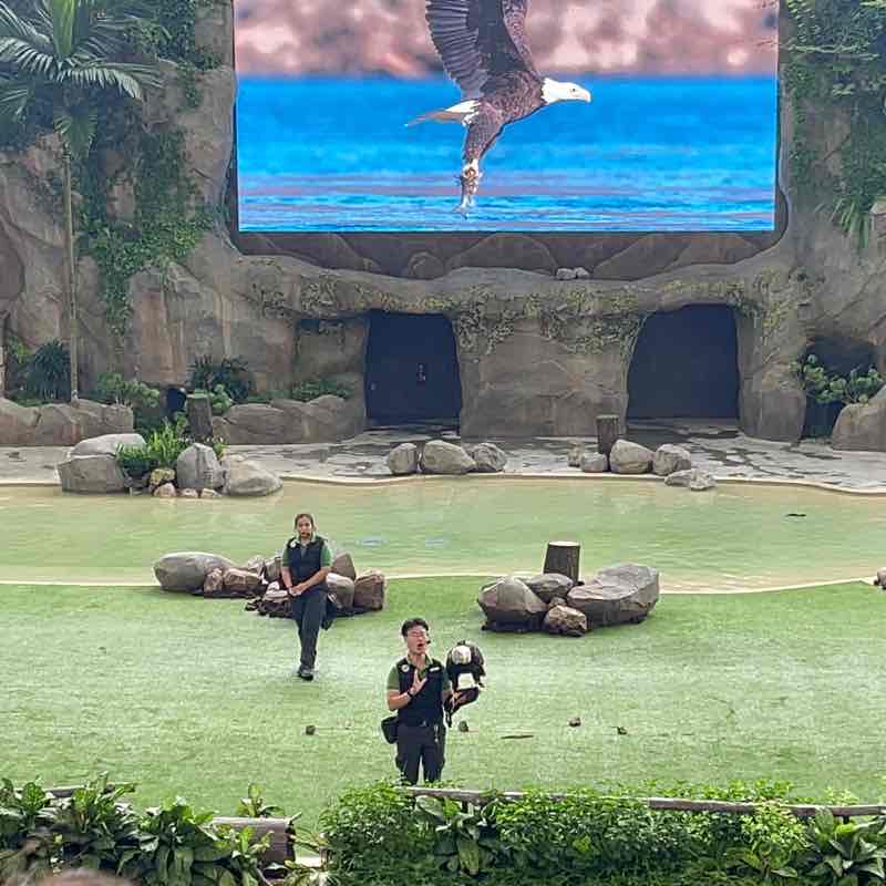 BIRDS PARADISE-SINGAPORE