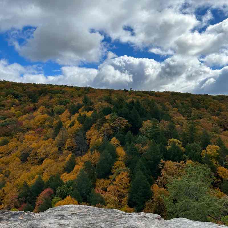 Devil’s Nose Trail