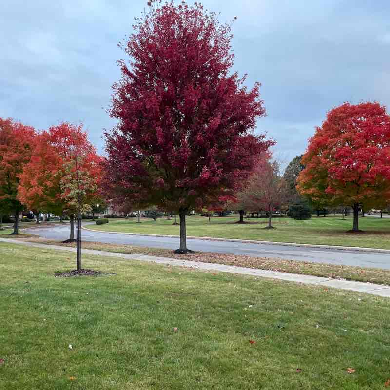 Bryn Du 5M with Hills