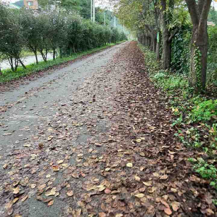 양평 국수리 #양평