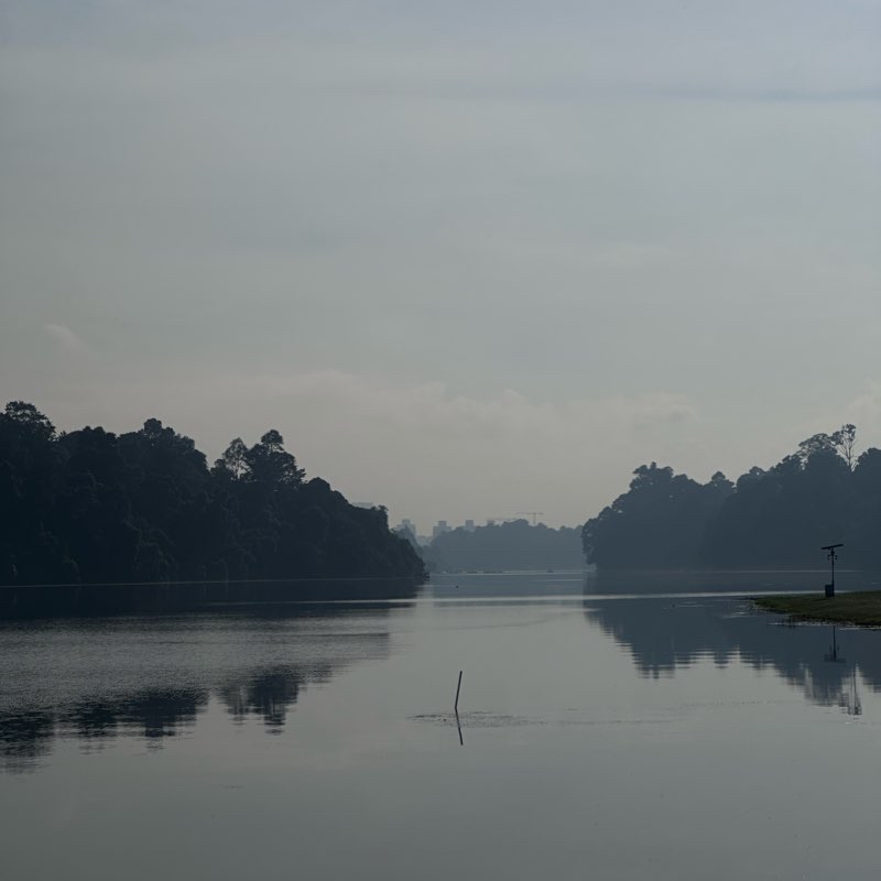 Matrichie to Bukit Timah