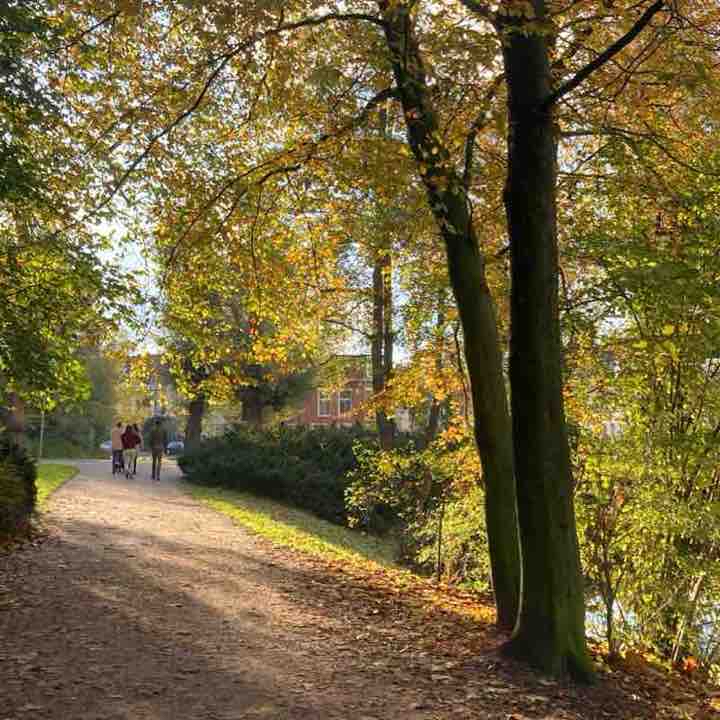 Rondje stad Groningen