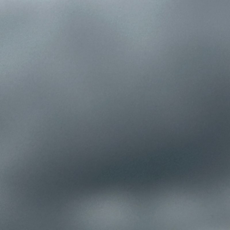 Grandview off leash dog park