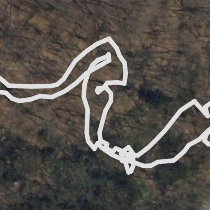 Dunham Cemetery - Edgar Evins