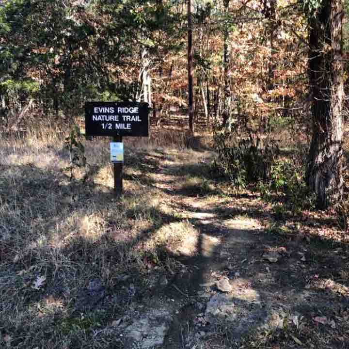 Evins Ridge Natural Trail - Edgar Evins