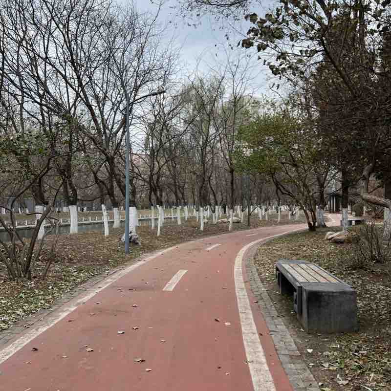 皂角公园沿河路线