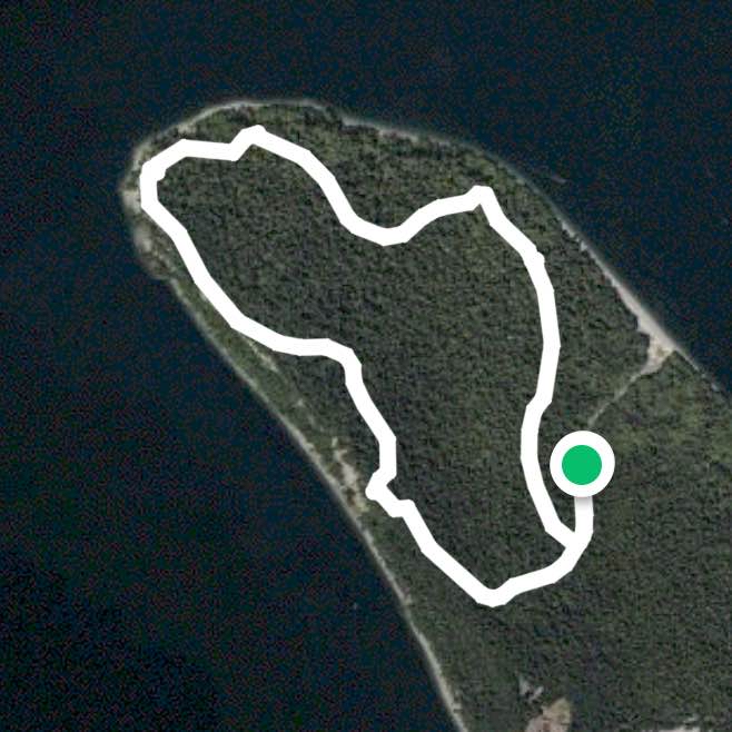 Point defiance road loop