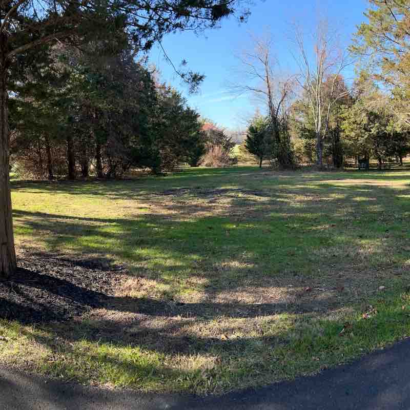 Chestnut branch park