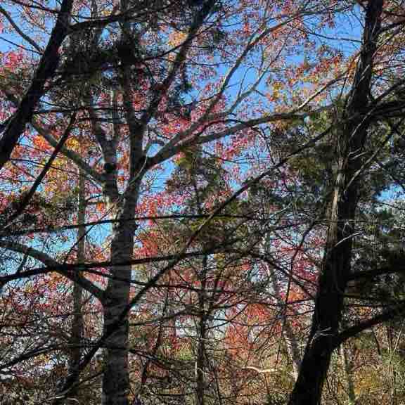 McKinney Falls, quick detour hike by playground
