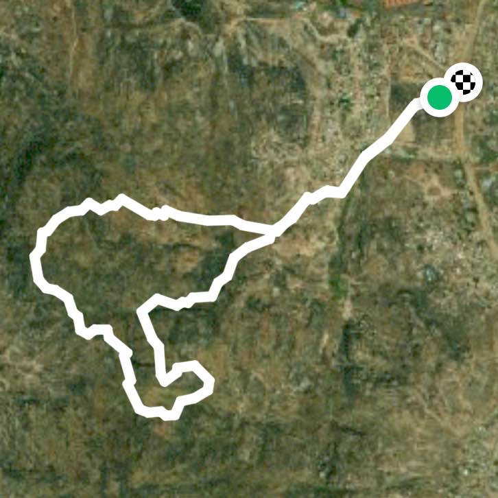 Morning Hiking