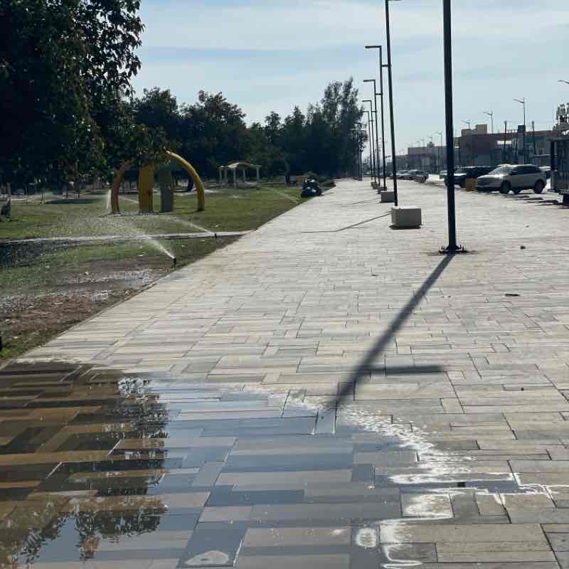 حديقه الخالديه بيشة