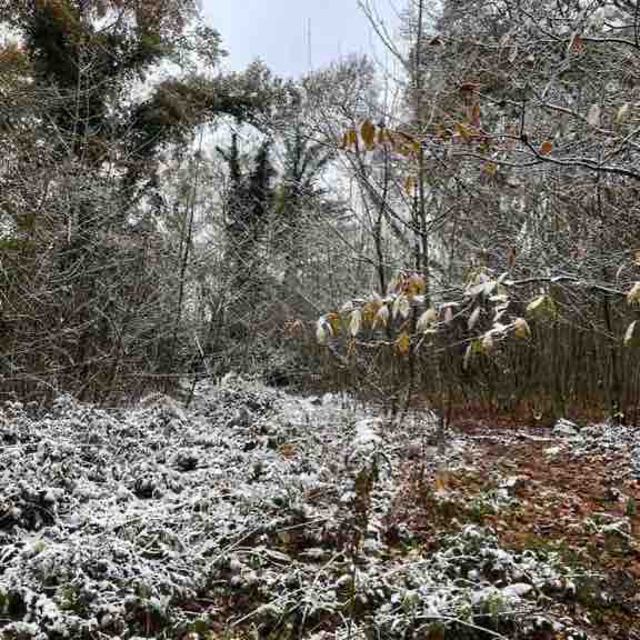 Beautiful walk