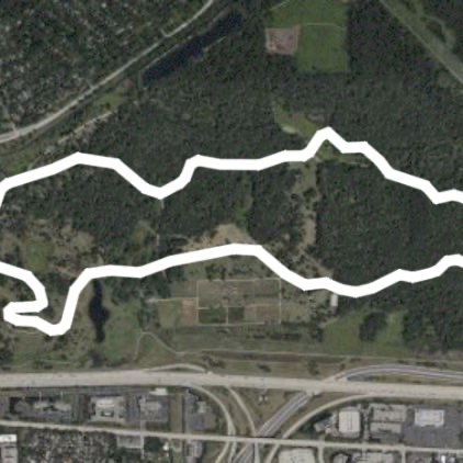 Morton Arboretum walk