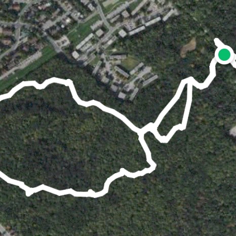 Bois-de-Liesse snowshoeing