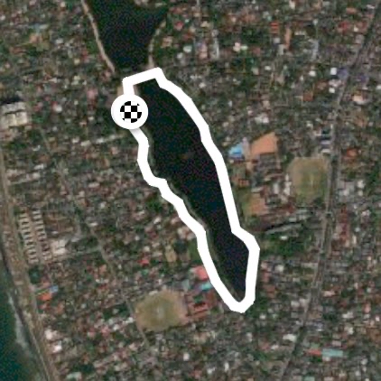 Judy’s daily walks