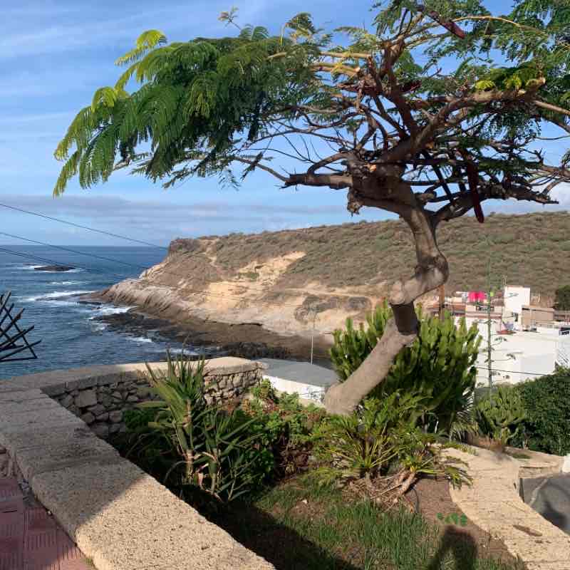 Camminare la mattina