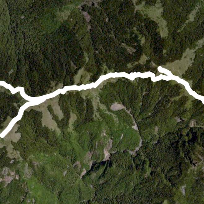 大霸尖伊澤加利九九