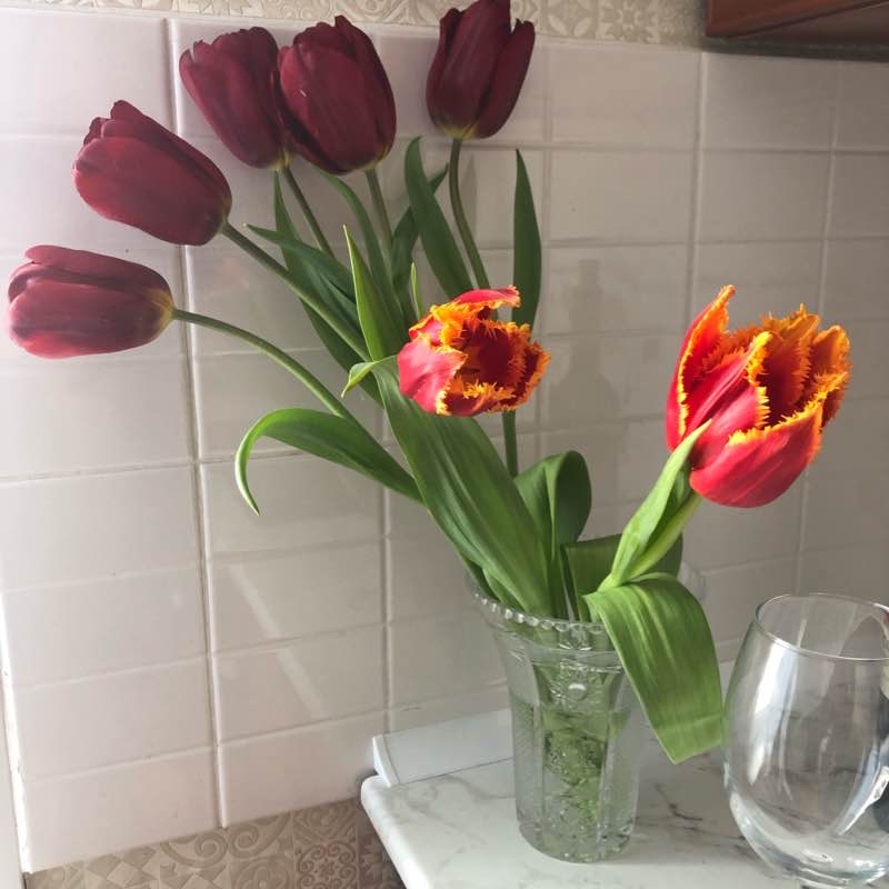 Прогулка по кшт