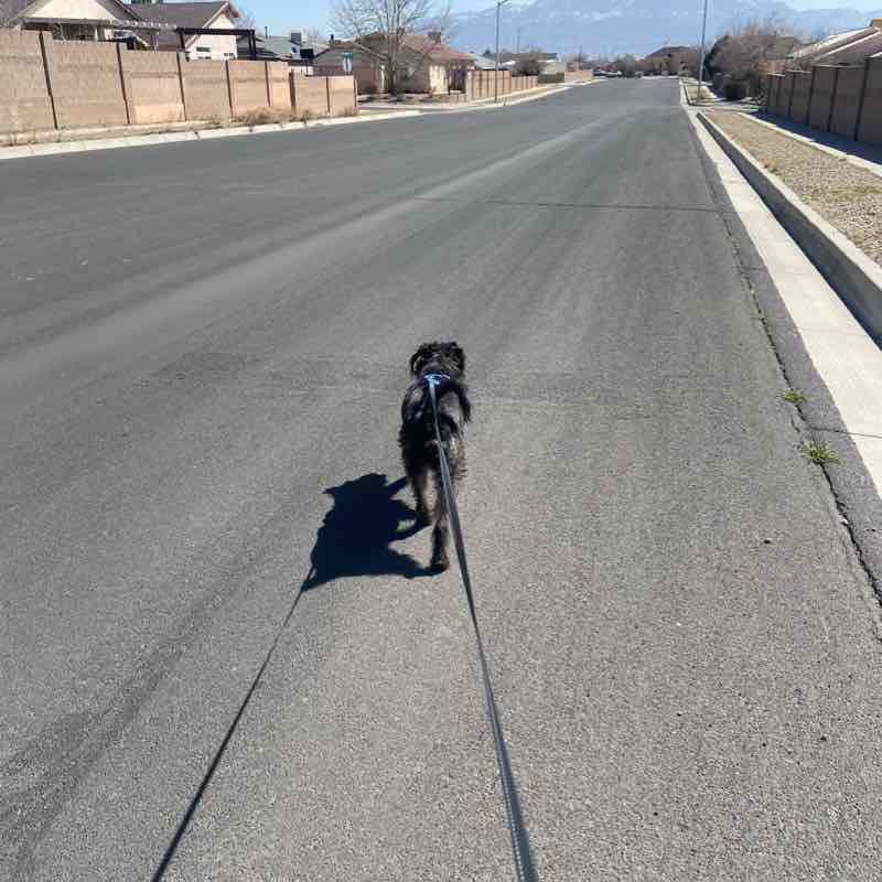 Local neighborhood hills