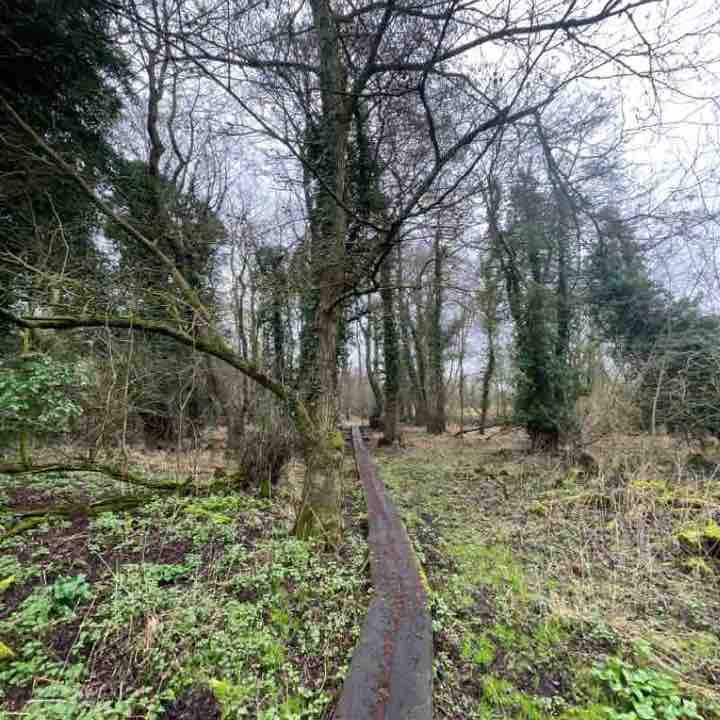 Roydon Fen - circular (wet walk)