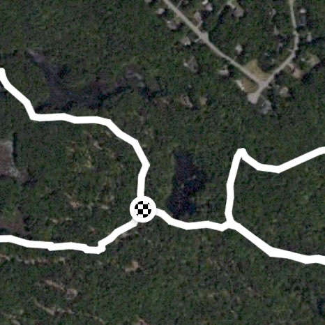 Plaistow town forest figure 8
