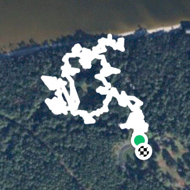 The Elizabethan Gardens