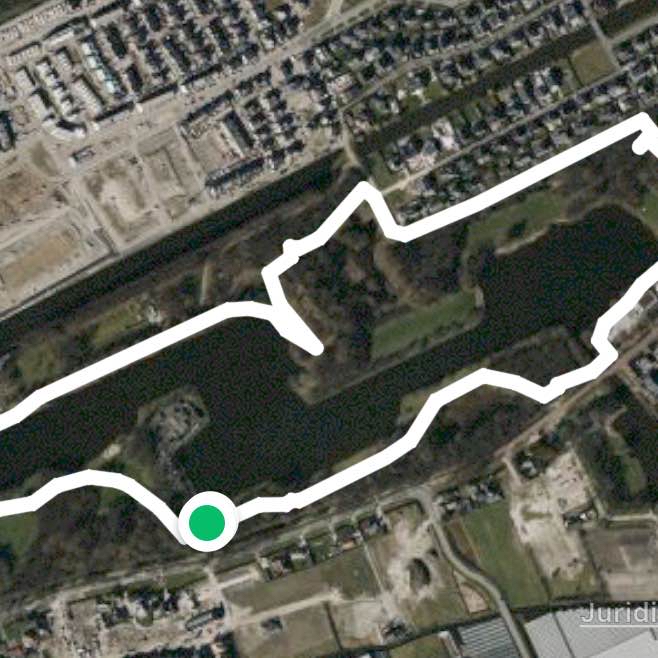 Madestein met Balou en Bowie en michelle