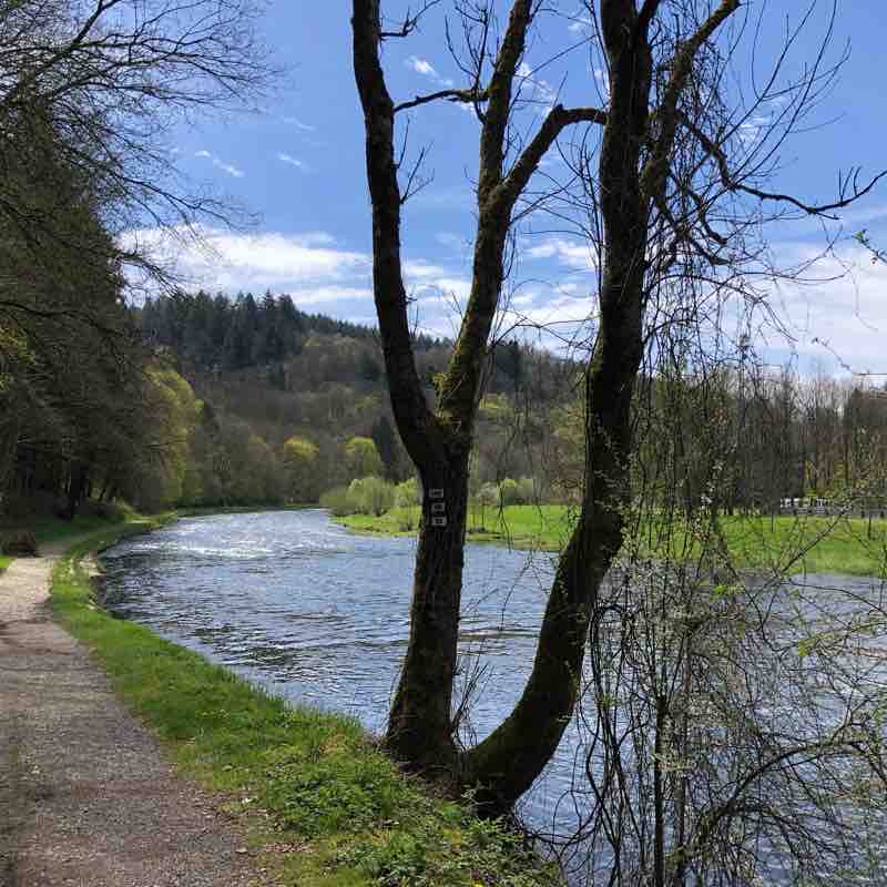 Bouillon passerelle de l épine avec Kiki