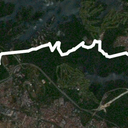 From MacRitchie to Riffle Range Nature Park