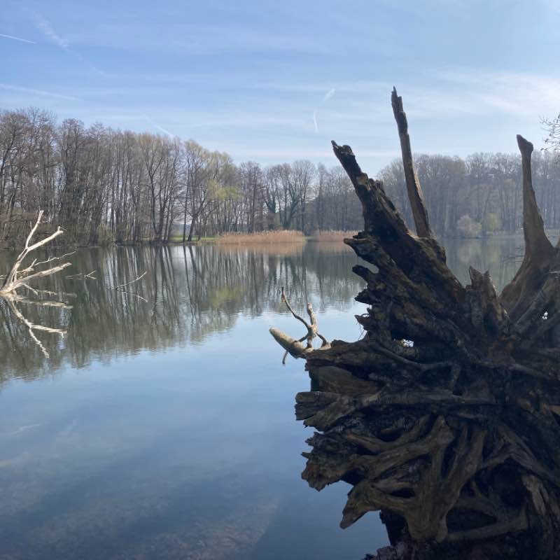 Rund um den Siethener See