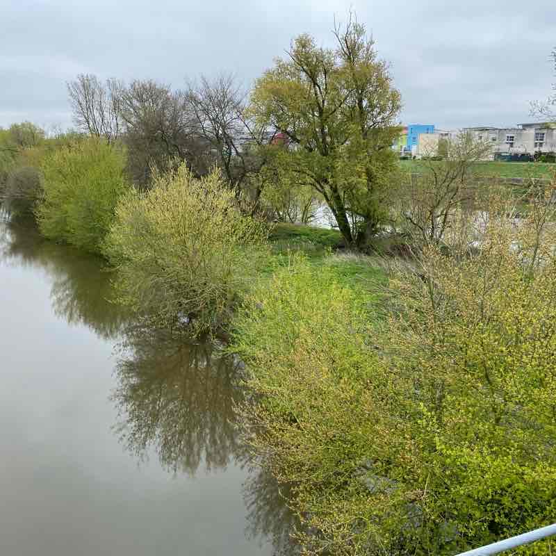 Petite balade au bord du Cher !