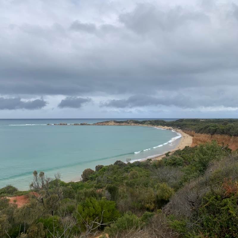 Anglesea Point Roadknight walk