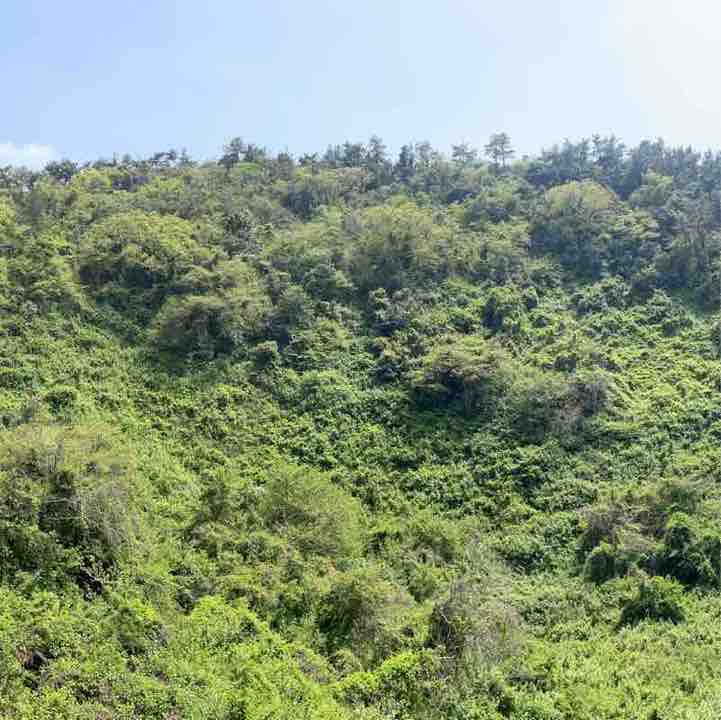 올레13길 역방향