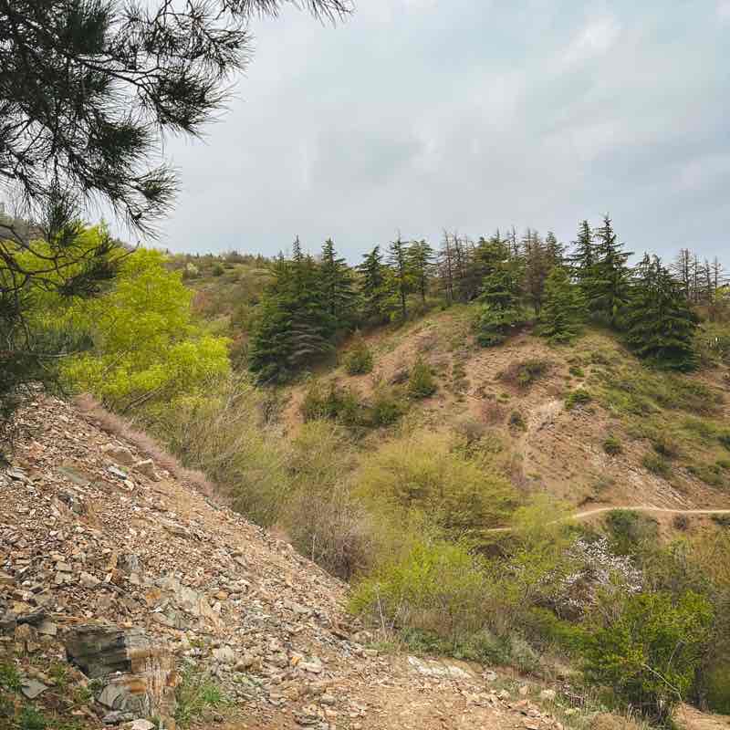 По Мтацминде