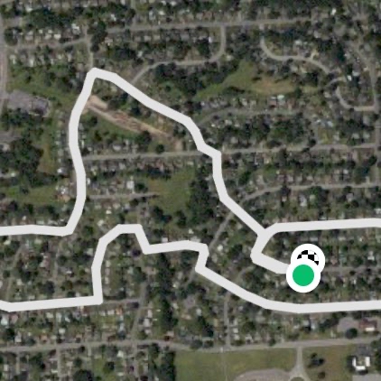Lunch break walk