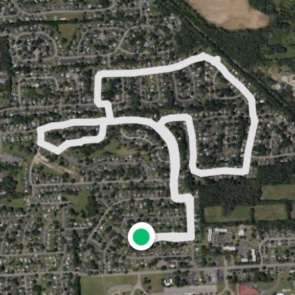 Evening walk 4/8