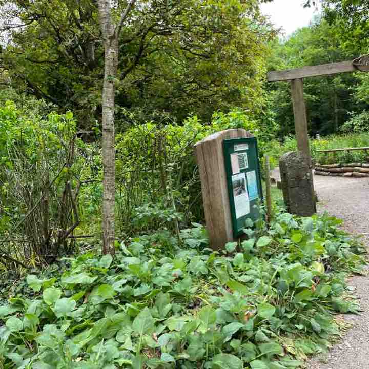 Willsbridge Mill